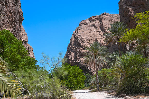 istock Panoramic view of Wadi Shab canyon in Oman 2208298910