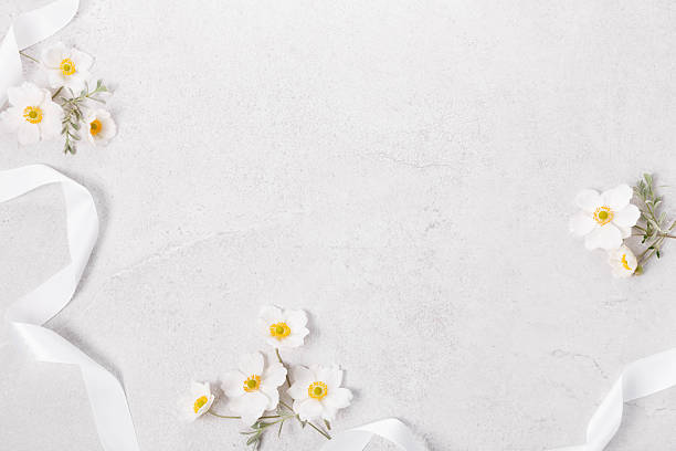 Minimal floral composition with white anemones, soft ribbon, copy space on light concrete background. Delicate white anemone flowers, symbol of elegance and purity. For wedding, mothers day, Easter
