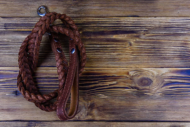 Brown leather dog leash on wooden background. Top view
