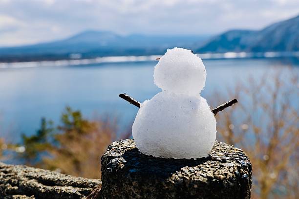 A small, handmade snowman sits in the snow, decorated with cookie eyes, a biscuit nose, and a colorful fleece hat. The snowman is slightly imperfect, with twigs and leaves embedded in its body, giving it a rustic and playful charm. Footprints in the snow lead up to the snowman, adding a sense of human interaction and storytelling. The bright winter sunlight casts soft shadows, enhancing the texture of the snow and creating a warm, inviting atmosphere in this wintertime scene.