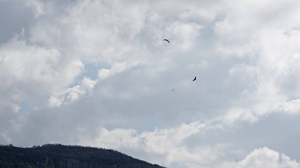 Paragliding pilots flying in the air with an eagle in a thermal. Paragliders soaring on a sunny spring day in moody cloudy sky. Extreme sports serenity concept.