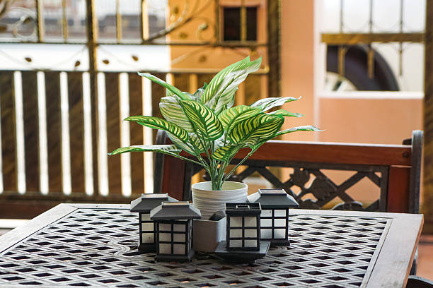 Potted Green Plant on Decorative Patio Table with Lanterns