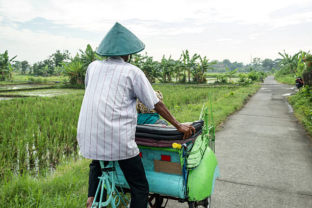 istock Indonesian cycle rickshaw driver transporting passenger through rice paddies 2208317686