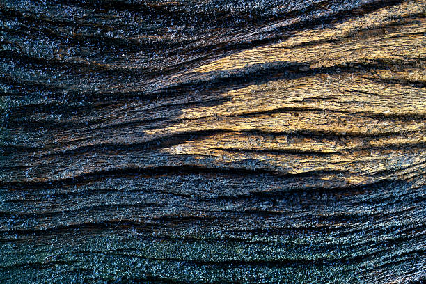 istock Textured Surface of Weathered Wood Showing Grain and Patterns 2208318018