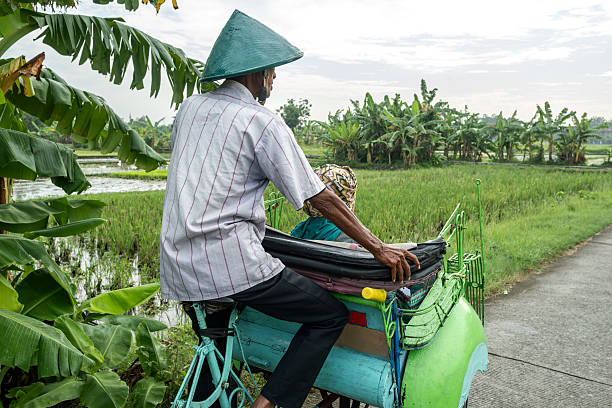 istock Elderly man riding becak through rice paddies in java, indonesia 2208318222