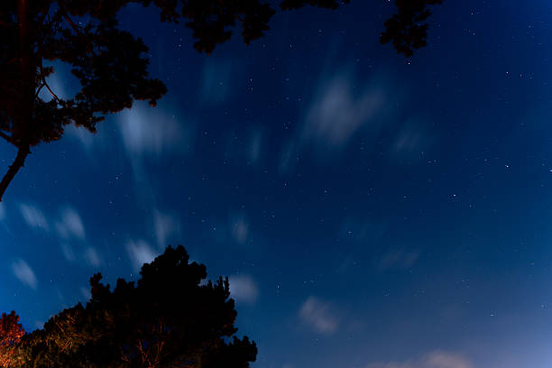 mesmerizing view of the night sky with countless stars and drifting clouds. The silhouette of illuminated treetops adds depth, creating a serene and dreamy atmosphere. A faint meteor streaks across the sky.