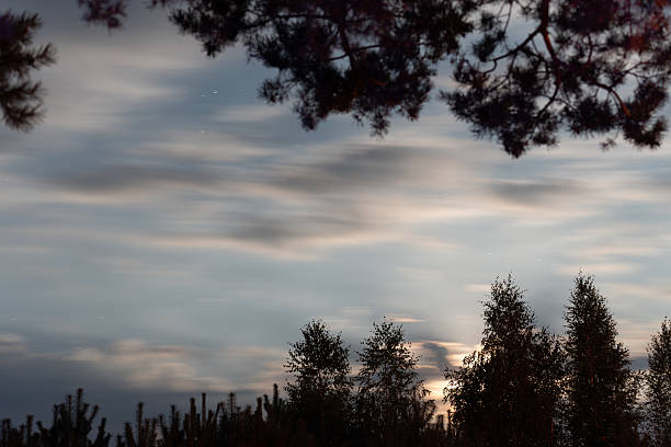 A tranquil night scene with wispy clouds drifting across the sky, illuminated by the soft glow of the moon. Silhouetted trees and parked cars add depth, while the contrast between dark shadows and subtle moonlight creates a serene atmosphere