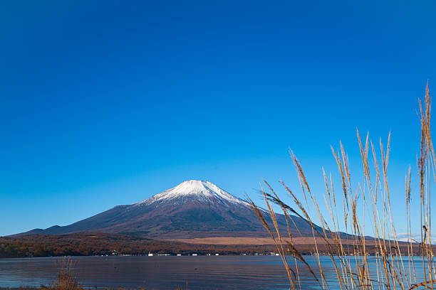 A serene landscape featuring Mount Fuji, snow-capped under a vibrant blue sky, beautifully reflected in a calm water surface.
