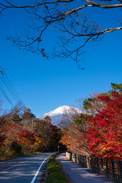 A serene landscape featuring Mount Fuji, snow-capped under a vibrant blue sky and red autumn leafs
