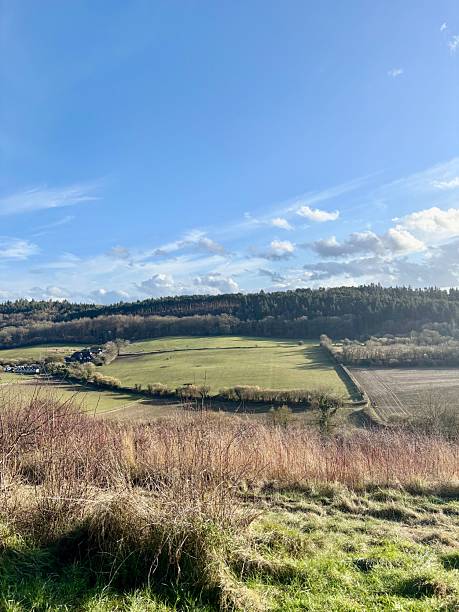 istock Pewley Down on a Sunny Spring Day, Guildford, Surrey Hills 2208324880