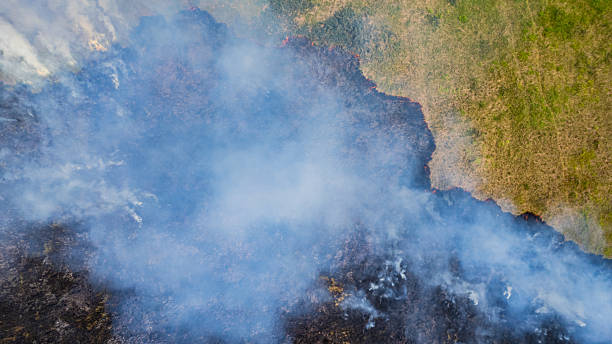 Wildfires are burning grasslands heavily.
