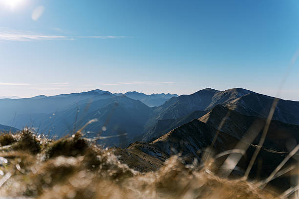 A breathtaking view of a mountain range under a clear blue sky, with golden grass softly blurred in the foreground. The layers of peaks create a stunning sense of depth and tranquility.