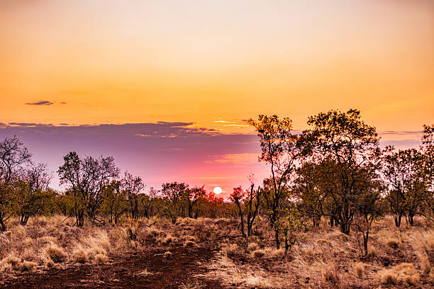 istock Meru National Park Landscapes 2208332181