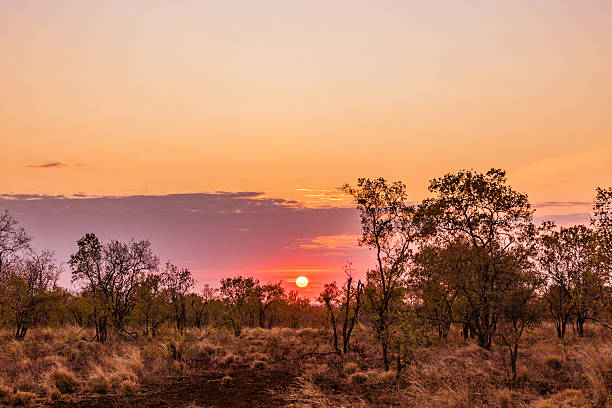 istock Meru National Park Landscapes 2208333695
