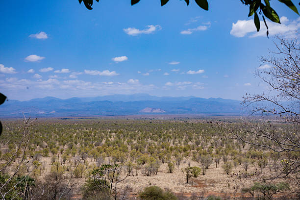 istock Meru National Park Landscapes 2208334557