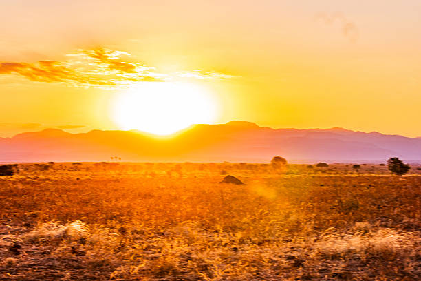 Kenya Landscapes panoramic scenic views sunset sunrise Maua Meru National Park Kenya East Africa Savannah Grasslands