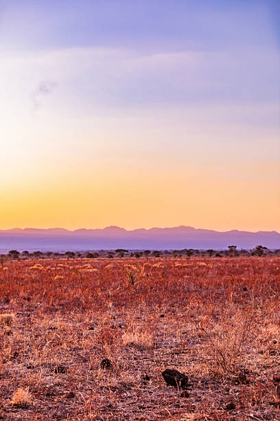 Kenya Landscapes panoramic scenic views sunset sunrise Maua Meru National Park Kenya East Africa Savannah Grasslands