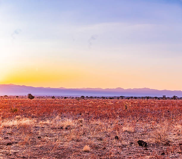 Kenya Landscapes panoramic scenic views sunset sunrise Maua Meru National Park Kenya East Africa Savannah Grasslands