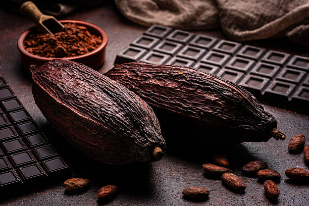 Two brown cocoa pods, beans, cocoa powder and dark chocolate bar