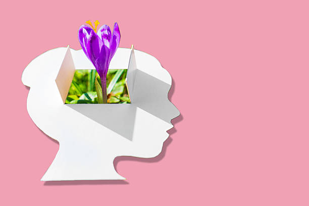 Woman Profile Cutout With Shutters And Crocus Flower On Pink