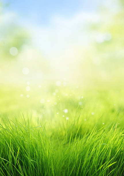 istock Beautiful bright photo of young vegetation in vertical format. 2208344844