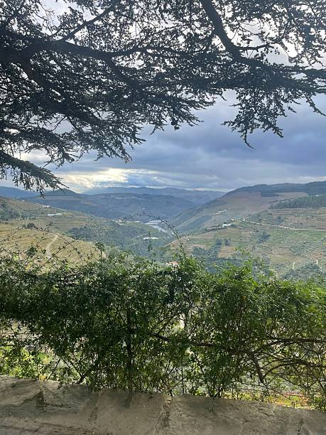 istock View of the Douro 2208359119