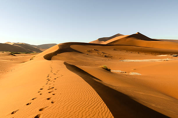 istock Orange sand dunes with footprints and clear sky in Namib desert 2208370221