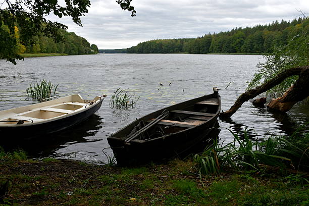 istock A close up on a vast yet shallow river or lake covered with reeds, dry trees and various flora with a small peninsula and some houses and boats visible on an autumn day in Poland during a hike 2208370655