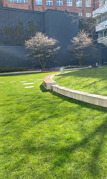 istock Modern Urban Green Space with Benches Near Office Building 2208378120