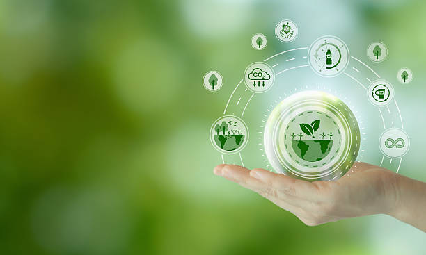 istock Sustainable environment concept. World Environment Day, climate action, the importance of addressing biodiversity loss and plastic pollution to mitigate the effects of climate change. 2208398186