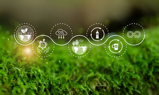 istock Sustainable environment concept. World Environment Day, climate action, the importance of addressing biodiversity loss and plastic pollution to mitigate the effects of climate change. 2208398190