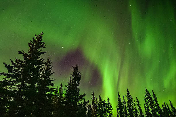 istock amazing aurora borealis in Alaska 2208401802