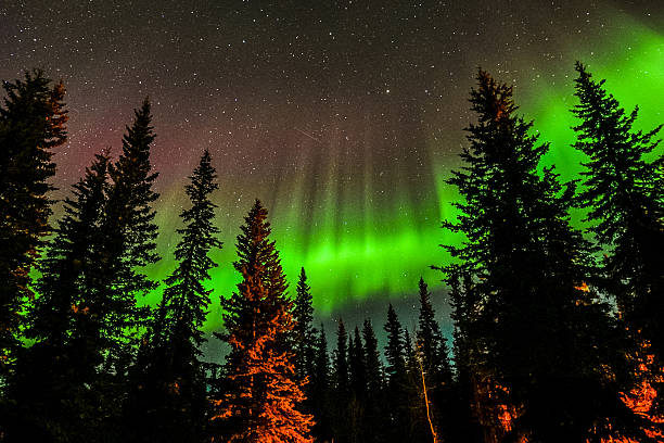 Night sky in Alaska with the aurora borealis