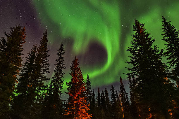 istock amazing aurora borealis in Alaska 2208401816