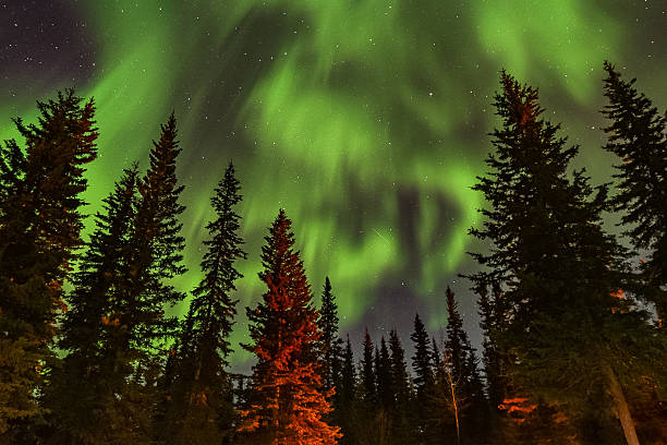 istock amazing aurora borealis in Alaska 2208401826