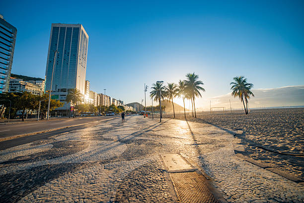 istock Palm trees and Copacabana beach. Rio 2208412479