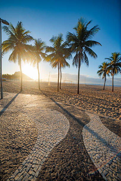 istock Palm trees and Copacabana beach. Rio 2208412492