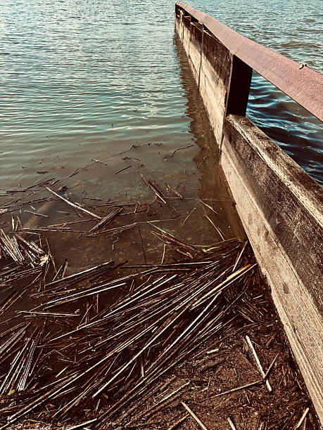 istock nature water creek abstract background 2208416768