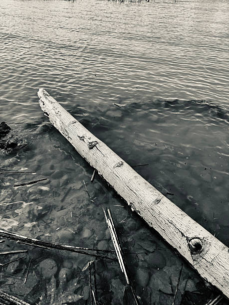 istock black and white wood and water abstract 2208419324