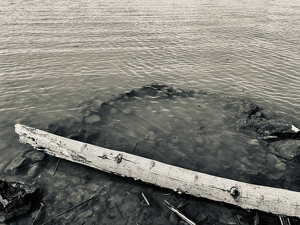 The driftwood and pebbles that have been carried by the currents and deposited on the shoreline of Lake Constance are visible from Lochau, Austria.