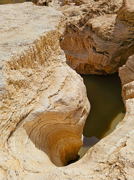 istock National park Ein Yorke'am. Negev, Israel 2208426986