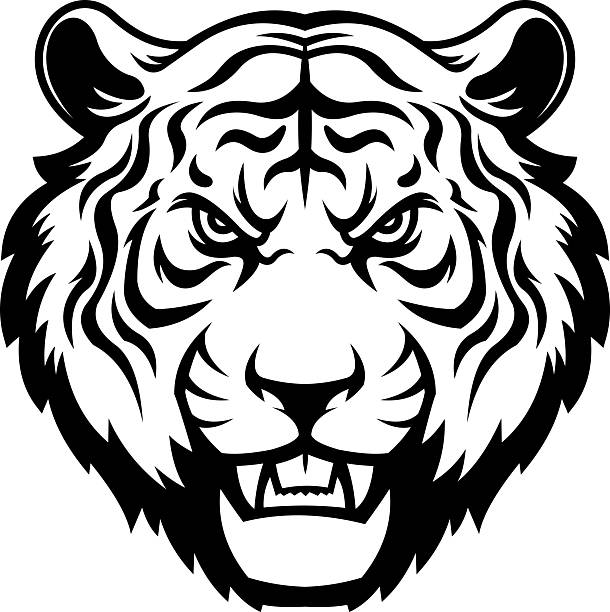 Black And White Tiger Head Mascot In Bold Line Style - Vector Hand Drawn Illustration Isolated On Transparent Background