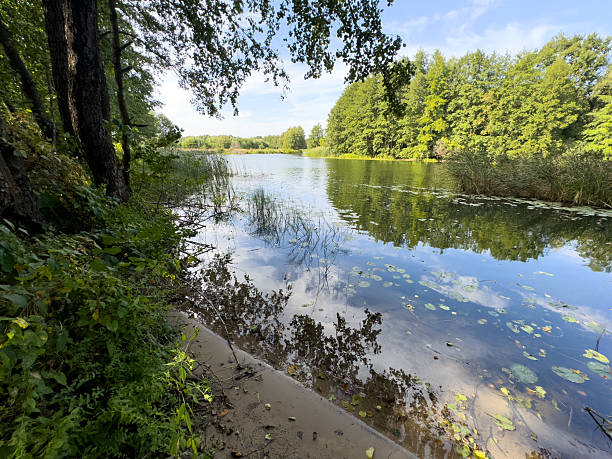 istock A lake with a forest in the background 2208429735