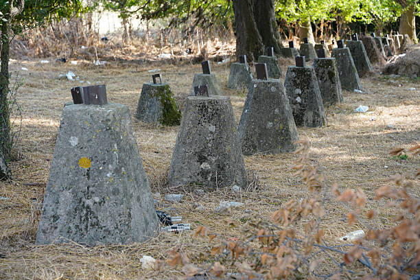 istock Dragons teeth in Istanbul, Turkiye 2208431226