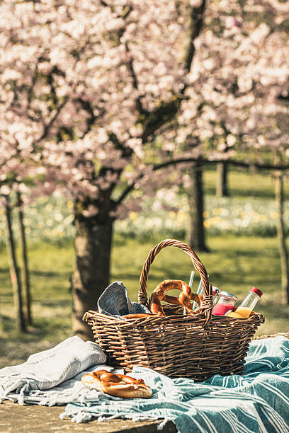 Leisure, finger food and drinks concept - picnic basket on a wall in park with blooming cherry trees, filled with fruit juice, smoothies, bretzels. Vertical.