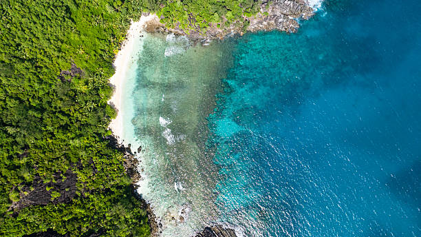 Beach with turquoise water and dense greenery. Seychelles, Mahe.
