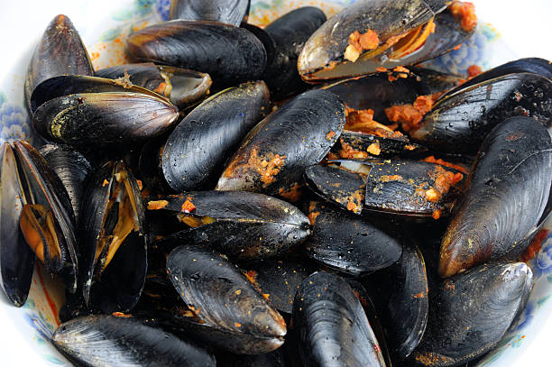 istock close up on fresh cooked mussel in the plate 2208434017