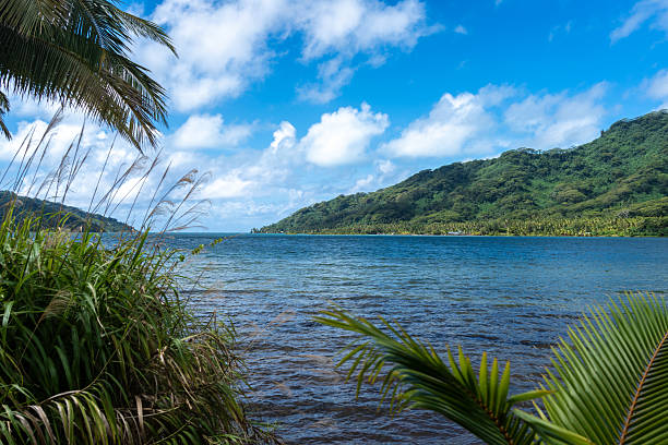 istock Coastline and Mountains on Tahaa Island, French Polynesia 2208436578