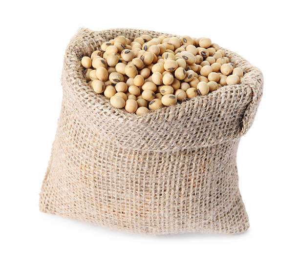 istock Soy beans in burlap sack isolated on white 2208438306