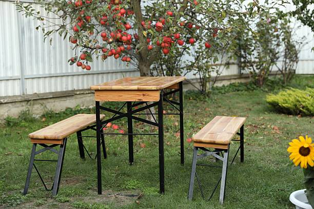 Wooden table with benches in apple garden